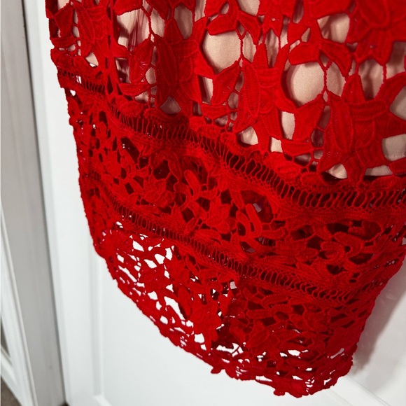 Lace Overlay Detailed Dress - Picture 3 of 4